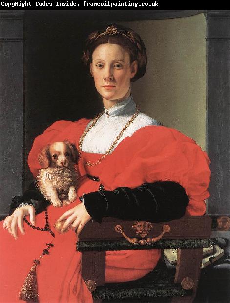 BRONZINO, Agnolo Portrait of a Lady with a Puppy f